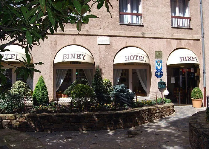 Hotel Biney 3*