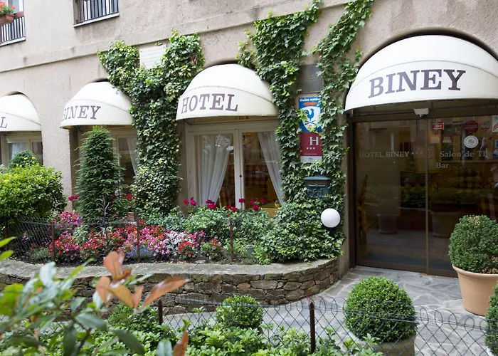 Biney Hotel 3*