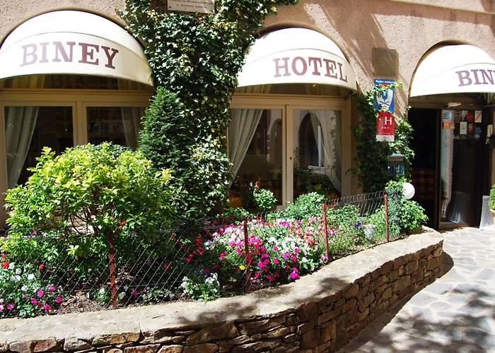 Hotel Biney Rodez